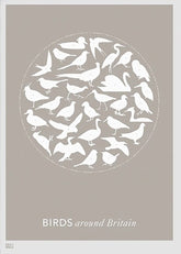 Animals - Birds Around Britain (Stone) Unframed